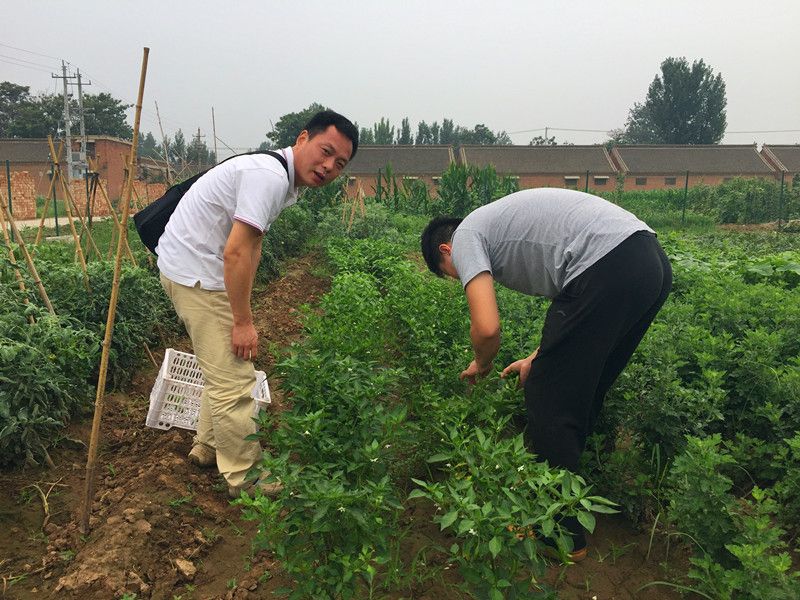 好利來郭總喊您來摘菜啦！綠色無公害，放心！